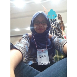 diannov30