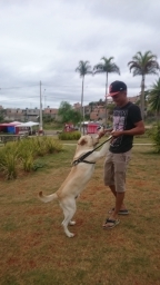 felipe20
