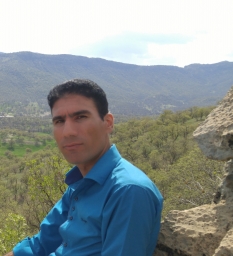 hamidhn