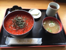 kyomu1