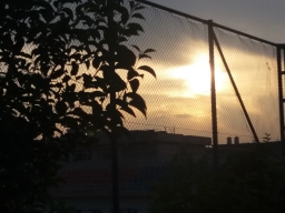 rebazshexa