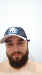 bumblebeehoian