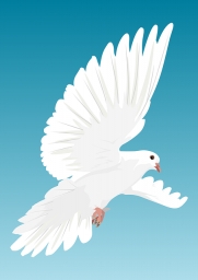 devon35