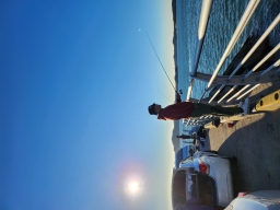 idwotjd