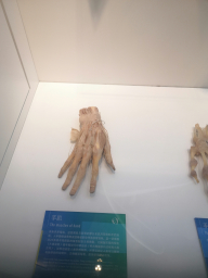 jxudkanm