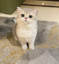 kkkkuuu