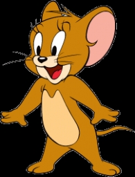 rafayz