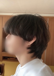 voice12
